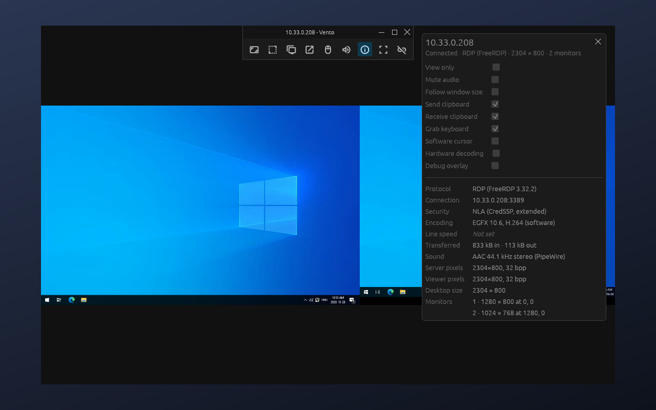 A two-monitor session in one window, with the toolbar and the connection info panel showing the options and stats