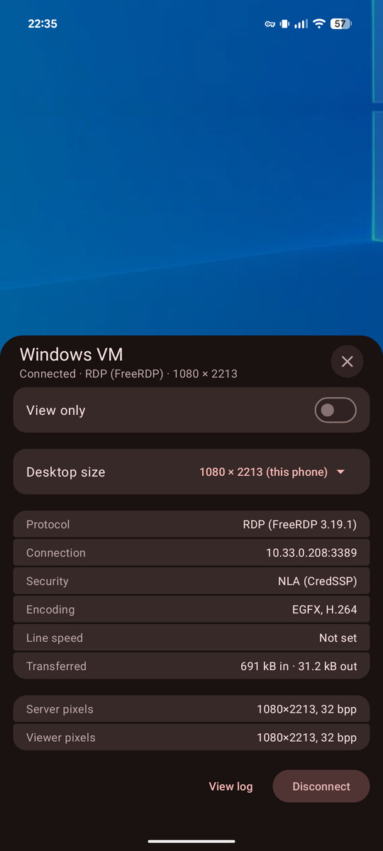 The connection info panel open over a session, showing the backend, desktop size, options, and stats
